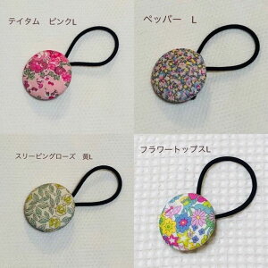 y킹̂ˁ낢ʁznhCh @oeB@݃{^wAS