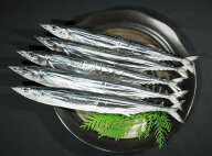 サンマ丸干し 25本入り 内臓取り除き さんま 干物 サンマ 贈答 さんま丸干し さんま干物 魚干物 熊野名物…
