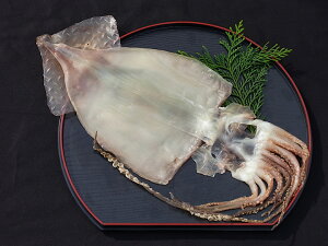 タコ 干物の人気商品 通販 価格比較 価格 Com