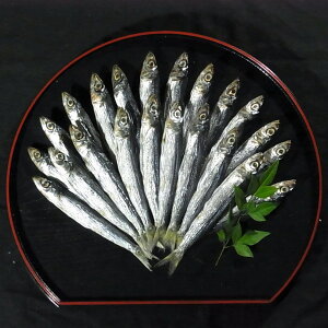 魚 うるめ イワシの人気商品 通販 価格比較 価格 Com 魚 うるめ イワシの人気商品 通販 価格比較 価格 Com