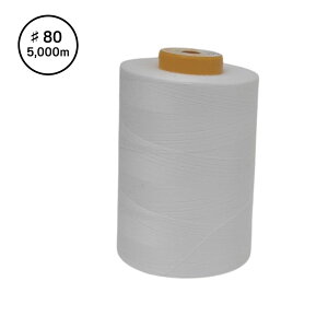 LOXp ~V 80 5000m tWbNX HƎ EE |GXe100