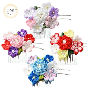 ܂ݍ׍HLbg ߂܂ݍ׍H 񂴂 V[Y F4F nJbg pi~ Panami