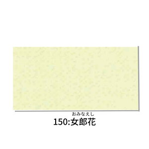߂ n 23cm×33cmJbgNX F3 ܂ 70cm×8m 1 y[W2 INAZUMA k S