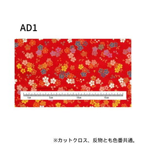 wDE JbgNX 22cm×33cm ܂  70cm×2m y[W1 INAZUMA k S