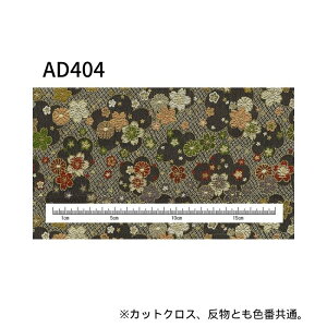 wDE JbgNX 22cm×33cm ܂  70cm×2m y[W1 INAZUMA k S