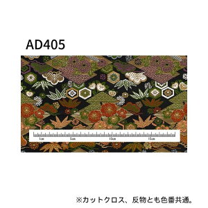 wDE JbgNX 22cm×33cm ܂  70cm×2m y[W1 INAZUMA k S