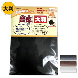 ̕CV[g 唻 V[^Cv 21cm×30cm CP226 ͐ڒ Lve C v  U[  j 䂤pPbg