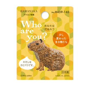 by Who are you? S19 3䎆Zbg n}iJ hイby ACڒ  w