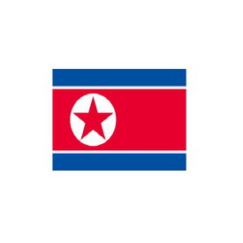 朝鮮民主主義人民共和国 North Korea オーダー 国旗 外国旗 卓上旗 旗 フラッグ 160か国対応 ～サイズ、素材によりお値段が変わります