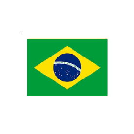 ブラジル Brazil オーダー 国旗 外国旗 卓上旗 旗 フラッグ 160か国対応 〜サイズ、素材によりお値段が変わります