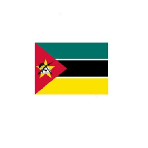 Ur[N Mozambique I[_[  O   tbO 160Ή `TCYAfނɂ肨liς܂