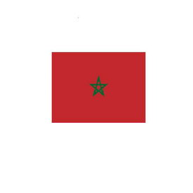 モロッコ Morocco オーダー 国旗 外国旗 卓上旗 旗 フラッグ 160か国対応 〜サイズ、素材によりお値段が変わります