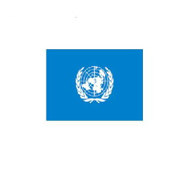 楽天市場 国連 旗の通販