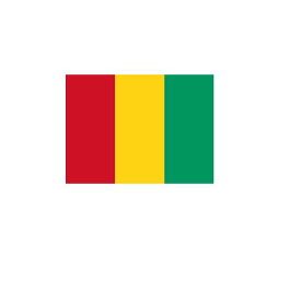 ギニア共和国 Guinea オーダー 国旗 外国旗 卓上旗 旗 フラッグ 160か国対応 〜サイズ、素材によりお値段が変わります