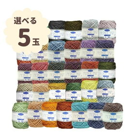 メタリックヤーン カラー 選べる5色セット パナミ 50m巻 メタリック手芸 ネット手芸 編み物 送料無料