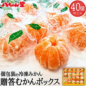 贈答むかんボックス40個入