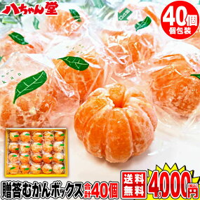 贈答むかんボックス40個入