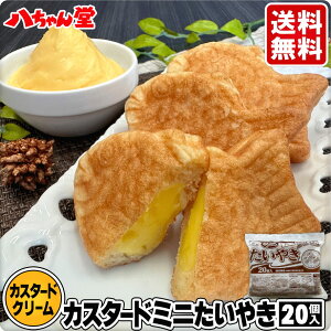  JX^[hN[Ă~jTCY (20) m₫ Ă JX^[h N[ \ َq aَq Ɩp ͂ǂ  w w Ղn