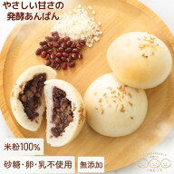 あんぱん 米粉パン グルテンフリー 発酵あんこ こめもっち(R) 米粉100％ 無添加 砂糖不使用 冷凍 【不使…