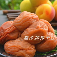 【送料無料】 無添加梅干し 900g 昔ながらのすっぱい、しょっぱい梅干し 梅干（塩分約18％）【わけあり …
