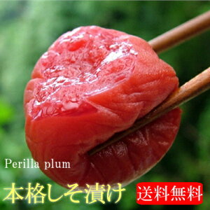 {iЂi9j~820gyIB썂~A嗱3LTCYz