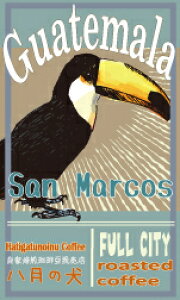 500g@OAe} SHB T}RX@yR[q[zyz yR[q[z y蓤zyNz