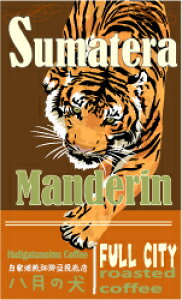 500g@}f@Grade-1@R[q[@R[q[yRCPz