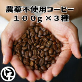 送料無料　八月の犬　お試し 100gx3種 セット コーヒー豆 お試し コーヒー ゆうパケット発送