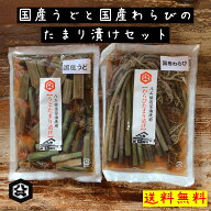 優しい味わい！【国産うど・国産わらびのたまり漬け 2袋セット ネコポス対応】たまり漬け 醤油漬け 国産…
