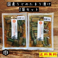 優しい味わい！【国産うどのたまり漬け 220g 2袋セット ネコポス対応】たまり漬け 醤油漬け 国産うど 酒…