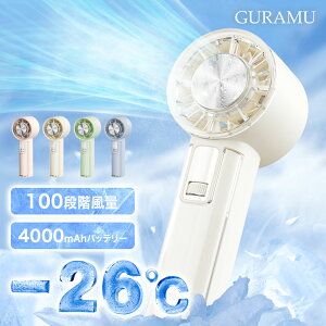 Ԍ聚N[|ōő79%OFF nfBt@ pv[g 2025 啗 -26x uԗp pnfBt@ 100iK ^@ gѐ@ ő18 RpNg p[h usb nf