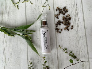 tELӂEƂ荂ێEZ~NׂȂERhRX