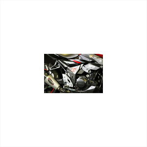 �o�C�N�p�[�c �O���G�[�e�b�N �T�C�h�A���_�[�J�o�[ R���̂� FW S25070-R 4524446144976GSX250R 17-