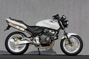 oCNpi }t[}g[VO }g.R Xe4-1 `^TCT[ L^cL HORNET25010253-11STC 4521717004144