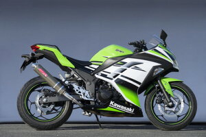 oCNpi }t[}g[VO }g.R Xe XbvI Pu[ Ninja250 13-40252-01NKB 4521717300932