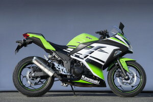 oCNpi }t[}g[VO }g.R Xe XbvI TYPE-S Ninja250 13-40252-01NSN 4521717300956