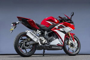 oCNpi }t[}g[VO }g.R SPEC-A S O TYPE-S CBR250RR 17-(2BK-MC51)10265-01NSB 4521717007688