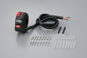 y5OŔz oCNpi dn XCb`L[fCgi DAYTONA VESEXCb` q_K jo[T70194 4909449352151i