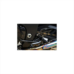 oCNp[cWOODSTOCK(EbhXgbN) obNXebvLbg I[SLV WBS-S17-SL4550255771140GSX1300R  08- ABS