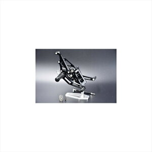 oCNp[cWOODSTOCK(EbhXgbN) obNXebvLbg I[BLK WBS-H06S-BB4550255704667CB1300SF/SB 21- I[gVt^[ڎԗp