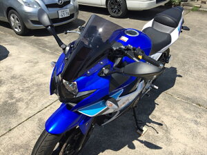 �O�� �X�N���[�� �X�g���[�g �X���[�N GSX250R 17160221 4580423291552���i