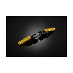 oCNp[cBIKERS(oCJ[Y) tgtbgyO CgS[h B0013-LGD4550255801236DAX125 22-24