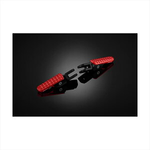 oCNp[cBIKERS(oCJ[Y) tgtbgyO IW B0013-ORG4550255801250DAX125 22-24