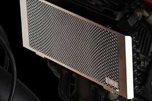 oCNp[c pnAG AELLA ICN[[veN^[ XeX hDJeB nCp[^[h1100 EVOAE-57017 4548664610235hDJeB nCp[^[h1100 EVO