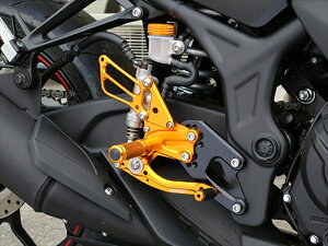 ステップ ベビーフェイス ベビーフェイス レースコンセプトステップキット Ver15.2 GLD YZF-R25 15-16 R02-Y004GD 4589981522313 取寄品