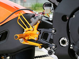 Xebv xr[tFCX xr[tFCX [XXebvLbgver15 GLD YZF-R1 18-20 R02-Y008GD 4589981523174 i