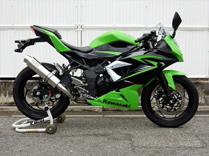 }t[ _uA[Y WR`S S O EhXeXTCT[ Ninja250SL ABS (JBK-BX250A) BF4260JM 4548916419951 i