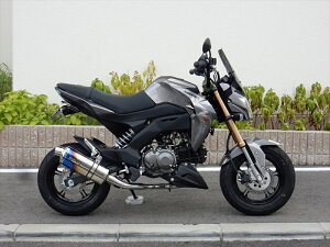 }t[ _uA[Y WR`S tEX ST-OVAL ĂF^Cv Z125 PRO (2BJ-BR125H) LM4110JM 4549950008811 i