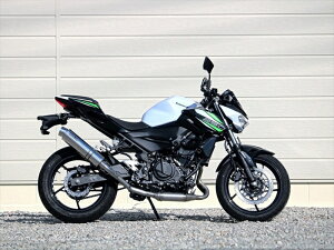 }t[ _uA[Y WR`S S O EhXeXTCT[ Z250 19-(2BK-EX250P) Z400(2BL-EX400G 8BL-EX400L) BF4275JM 4550255384081 i