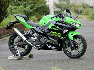 }t[ _uA[Y WR`S tEX EhXeXTCT[ Ninja250 18-(2BK-EX250P) LA4270JM 4550255566951 i